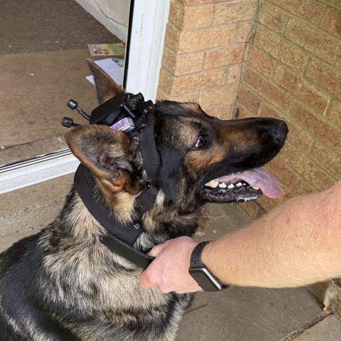 K9 Dogcam & MissionLink